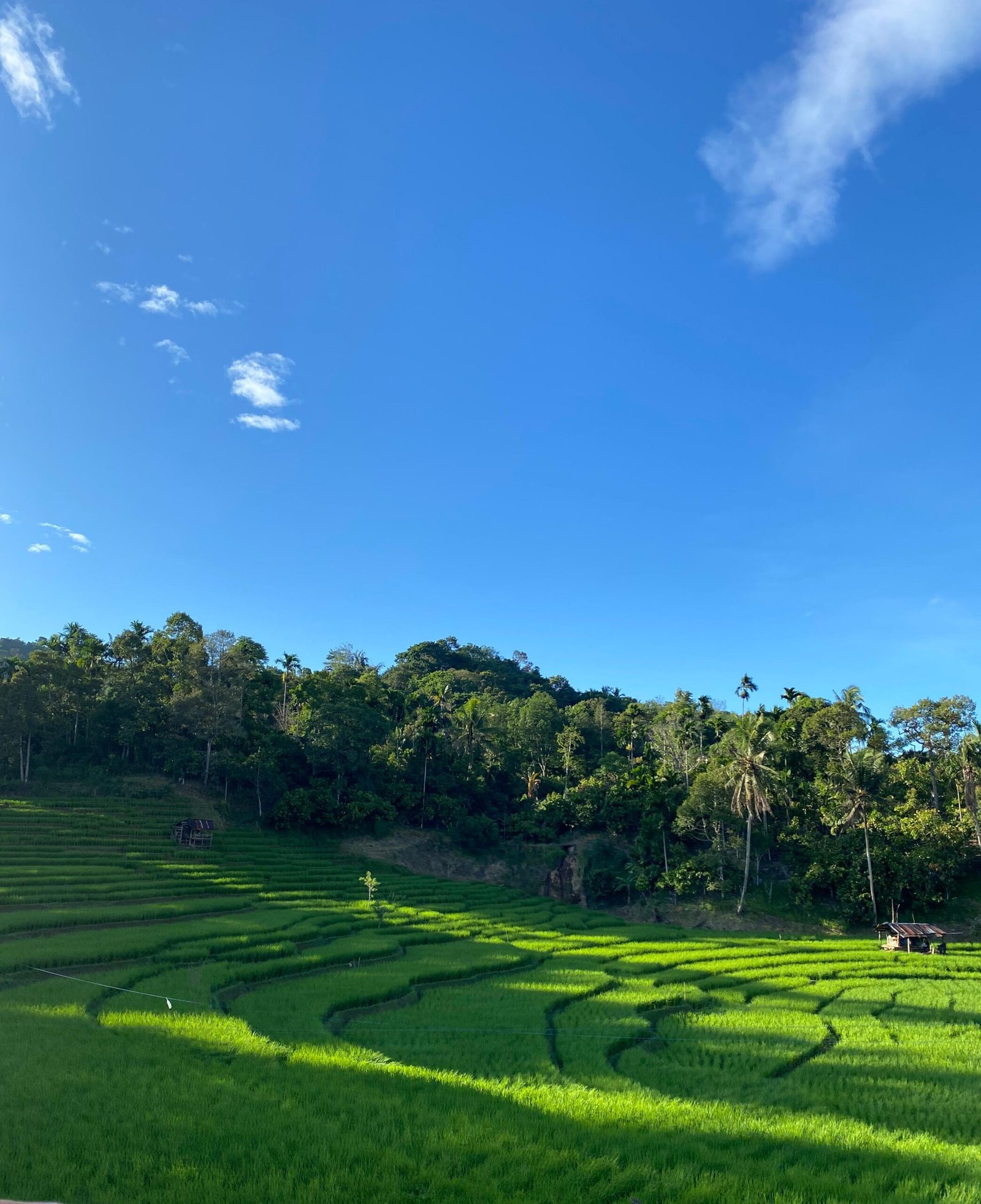 Pemandangan kawasan Kota Sawahlunto yang dikelilingi perbukitan